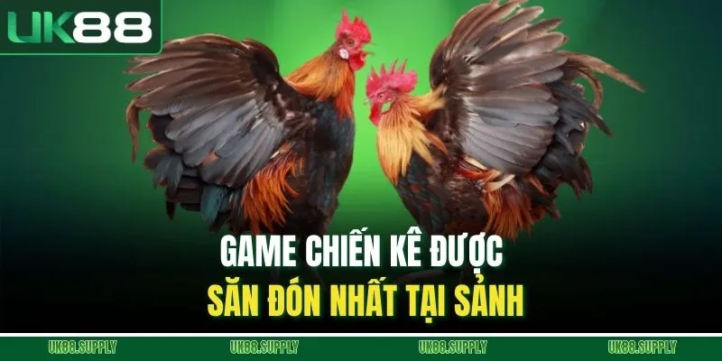 Game chiến kê được săn đón nhất tại sảnh