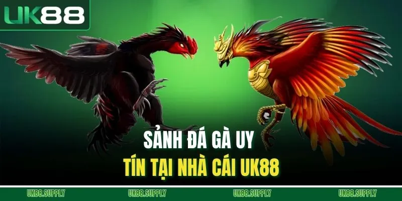 Sảnh đá gà uy tín tại nhà cái UK88